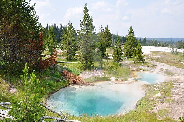 ������ʯ