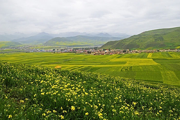 ɽ���ϵ��Ͳ˻�