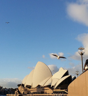 �Ĵ����Ǻ�Ÿ