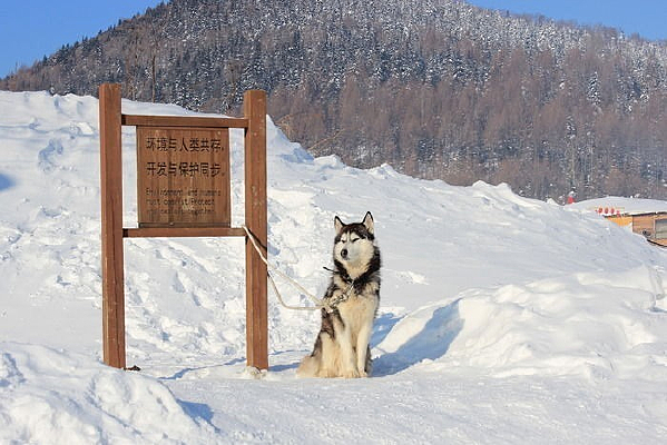 ����˹�ӷ羰