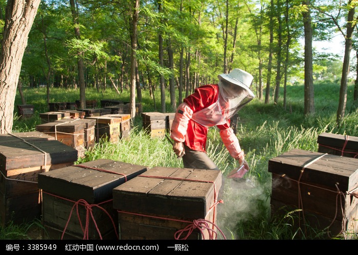 ������ת��ͼƬ