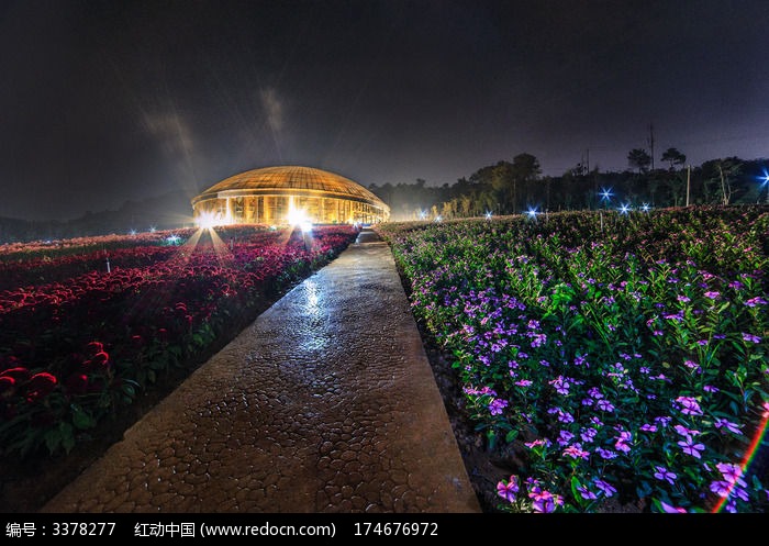 夜空下百色园博园花海图片