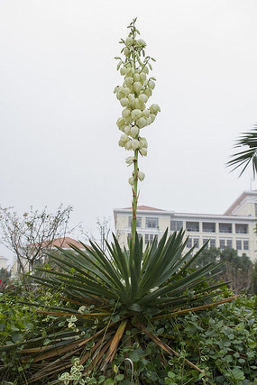 ��β����