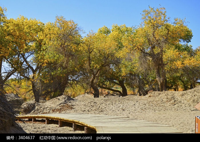 �������е�ջ��ͼƬ