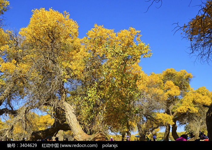 �����µĺ�������ͼƬ