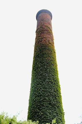 �̴�����