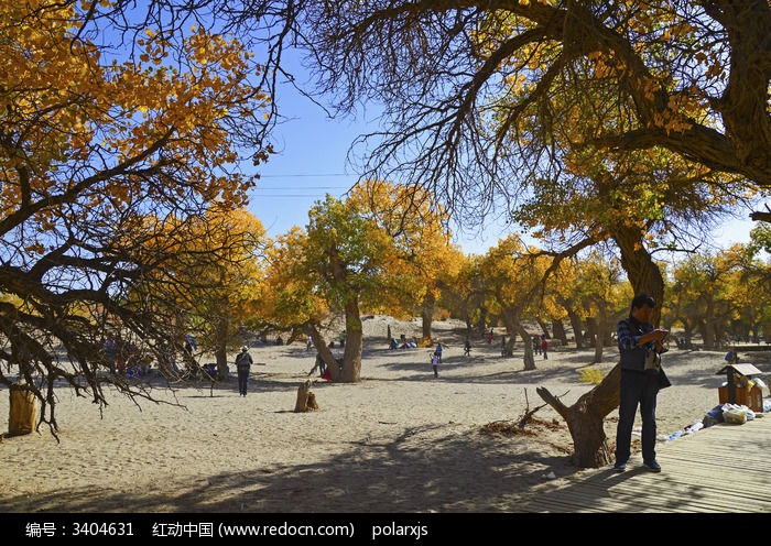 ɳ����ϡ��ĺ�����ͼƬ