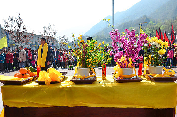 �����ʻ�