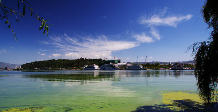 ������ͷ