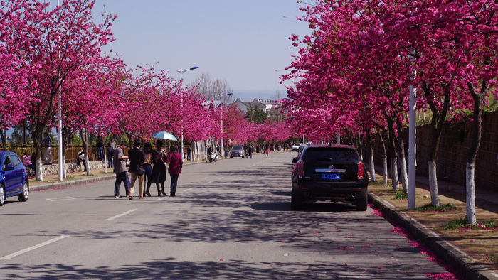 �����Ļ�