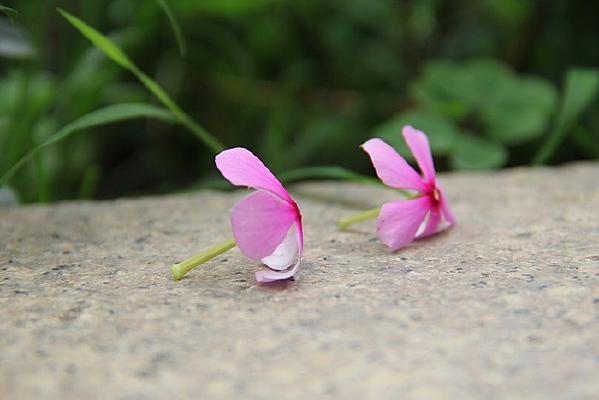 �ذ��ϵ��ʻ�