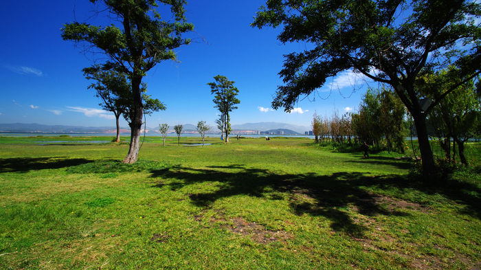 ���������˶�