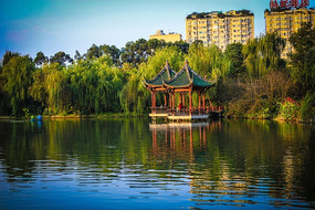 ������ͤ