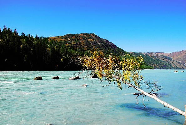 ����˹����