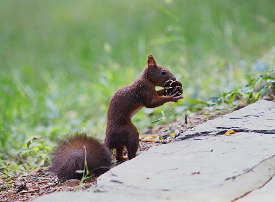 ��β������