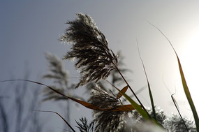 ����«��