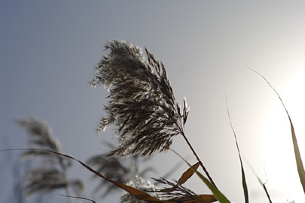 �����«έ��