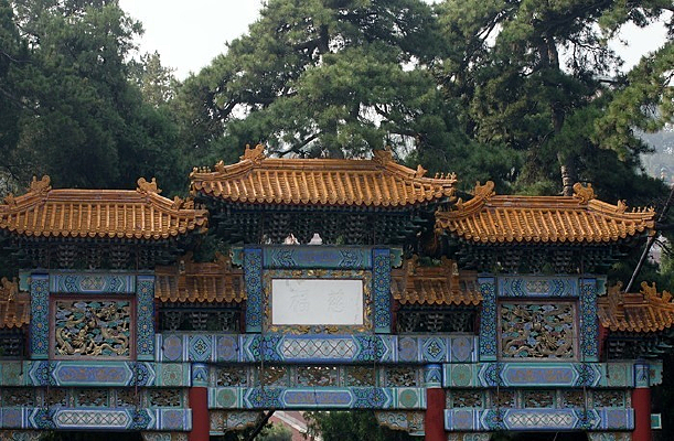 ������Ƭ