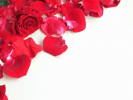 �����õ��