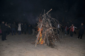 ���ֵ�Ұ����������