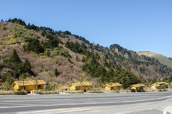 �ݶ�ͣ����