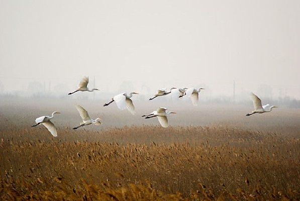 ���ط���