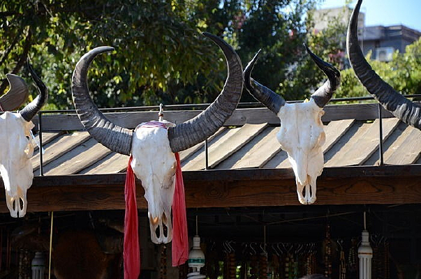 ��ͷ����