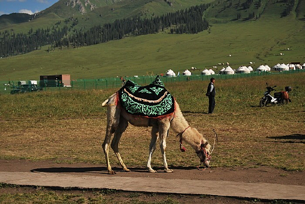 �½�����