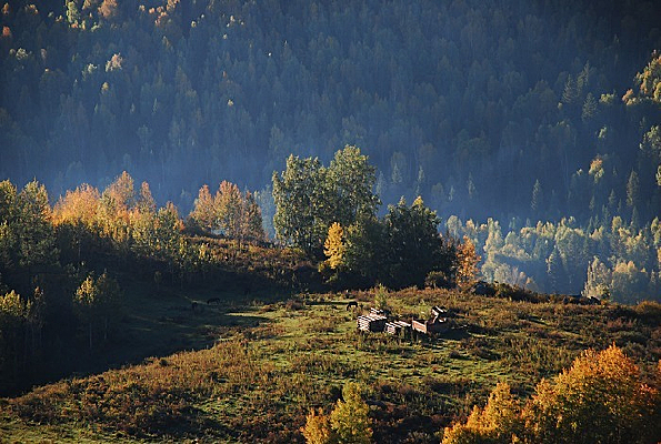 �½������ķ��