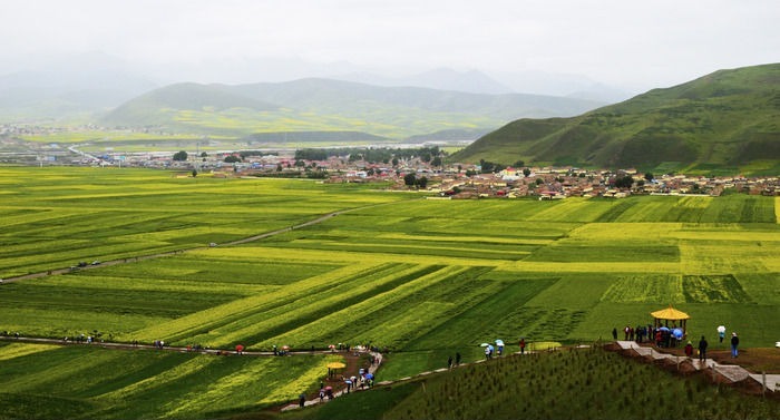 ����ɽ�Ͳ˻�