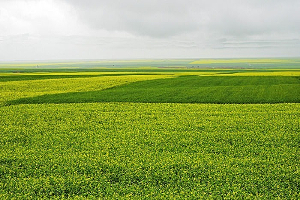 һ���޼ʻ���