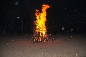 ���е���������