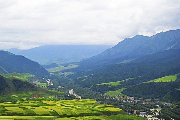 ɽҰ���Ͳ˻�