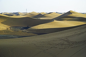 �˵��ŵ�ɳĮ