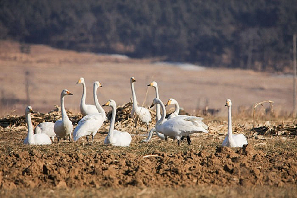 �������Ϣ