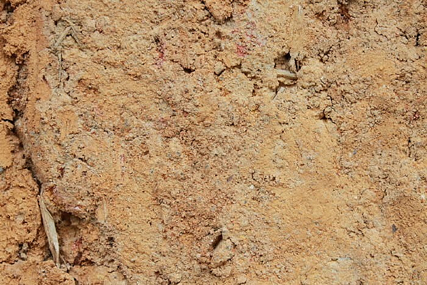 ������ͼ