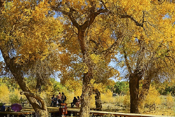 �������Ϣ