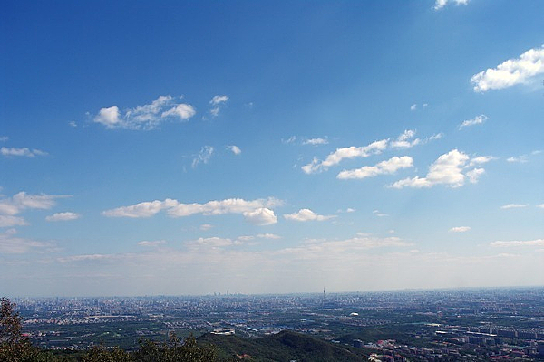 Զ��������