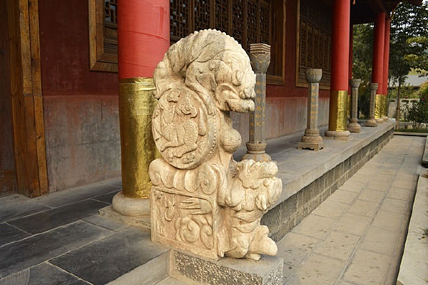 ��ɲ����