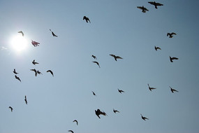 �������