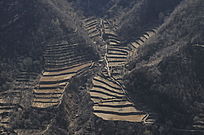 ̫������