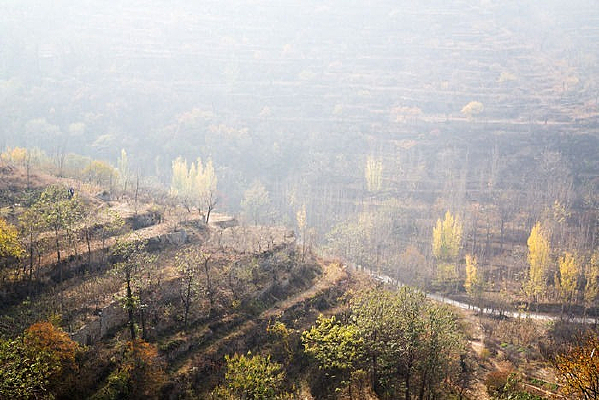 �＾������