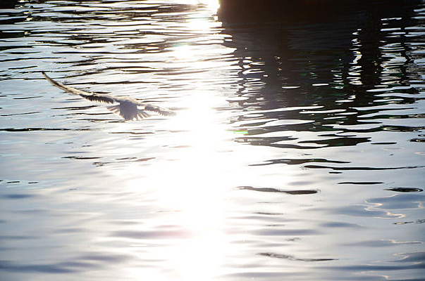 �����չ�