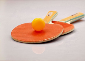 ƹ���������