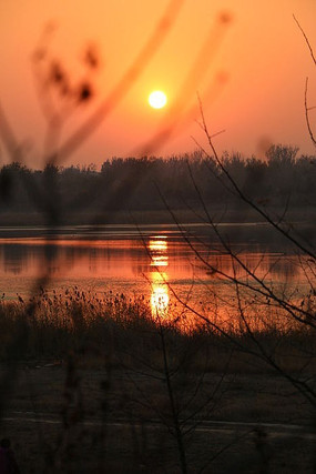 ���׺���