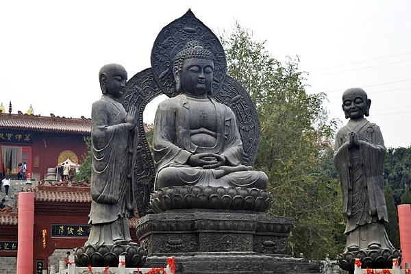 ���͵���