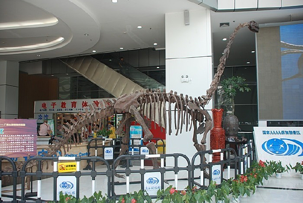 �����Ƽ���