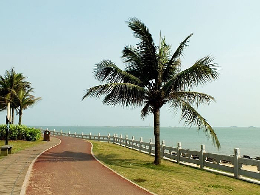 �󺣺�Ҭ����