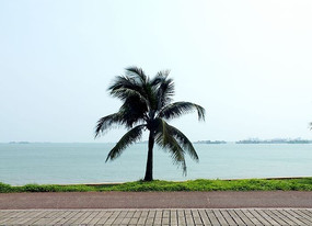 Ҭ���������