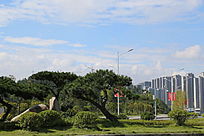 ������·